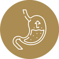 Boosts digestion