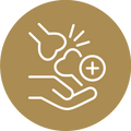 Supports joint health